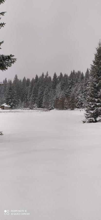 Vila Balerina Mitrovac Eksteriør bilde